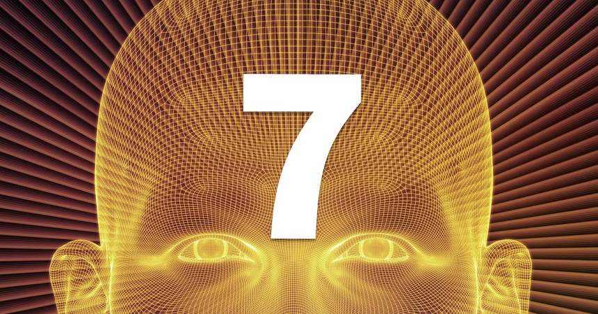 Nr 7